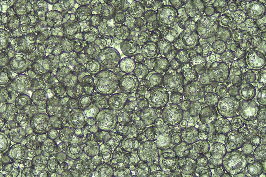 Microscopy-style scientific skincare formulation visual