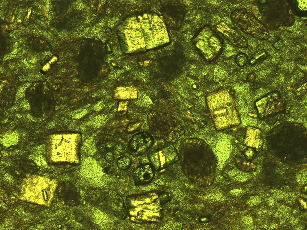 Microscopy image showing crystalline structures